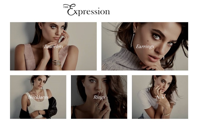 Development of Shopify Store – The Expression Development of Shopify Store – The Expression