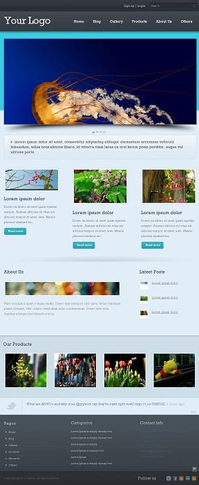 Developing a WordPress Theme Developing a WordPress Theme